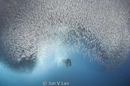 It's Shoaltime by Jun V Lao 