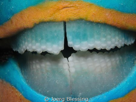 Nice smile.... by Joerg Blessing 