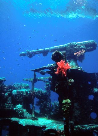 'GUNBOAT' Da Ni Hino Maru. Truk Lagoon, FEM. Housed Nikon... by Rick Tegeler 