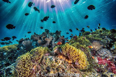 Nikon AW130 Housereef summerisland by Carsten Schroeder 