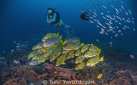 Back in the water after a loong break ... by Tunc Yavuzdogan 