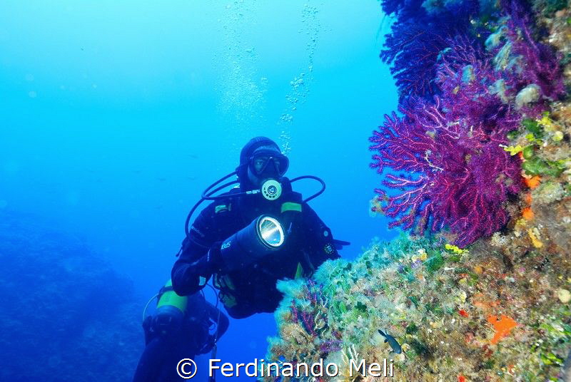 Marettimo's Island
(Blutek Diving) by Ferdinando Meli 