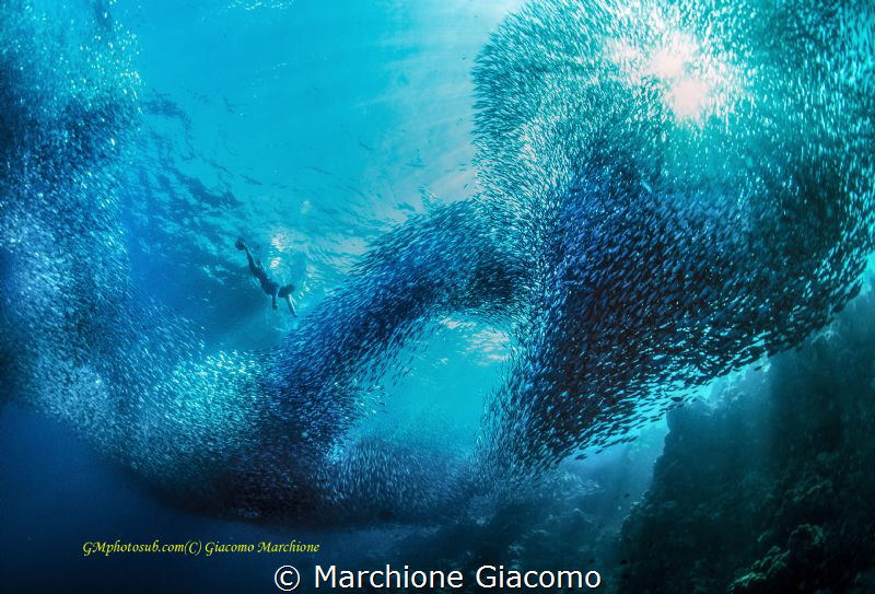 Free diving in Panagsama beac . No strobo . Nikon D800E ,... by Marchione Giacomo 