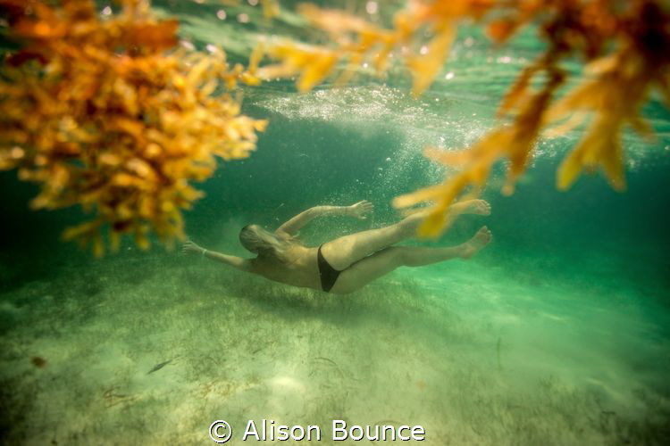 Mermaid inspiration by Alison Bounce 