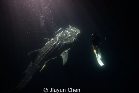 Nice to meet you! by Jiayun Chen 
