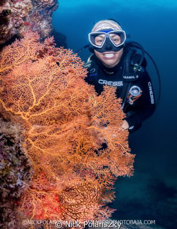 Pearly Whites at San Rafaelito, La Paz by Nick Polanszky 