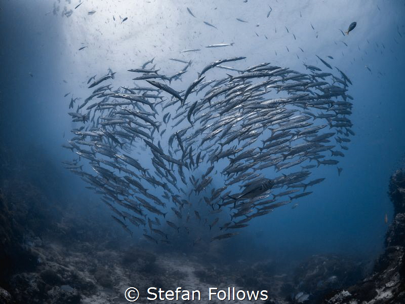 ...what we do in life... echoes in eternity...

Chevron... by Stefan Follows 