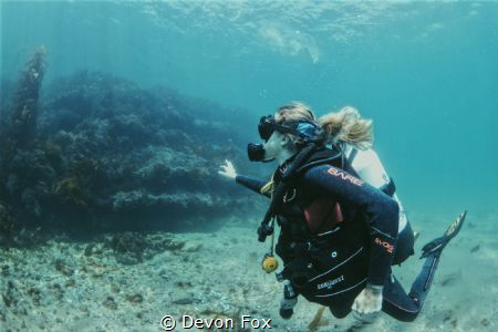 When the kelp is gone/ California’s temperate waters chan... by Devon Fox 