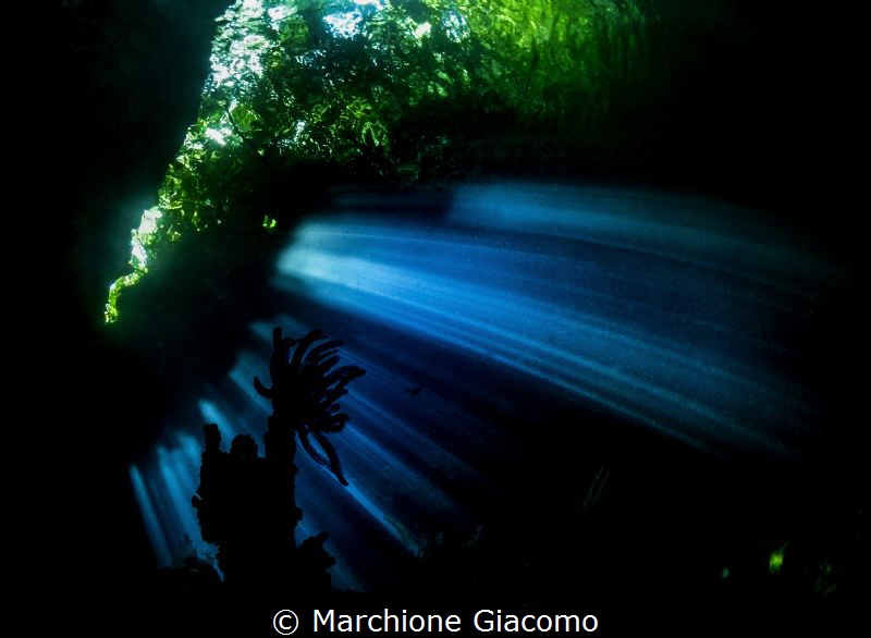 The green cave . Raja Ampat
Nikon D800E , 10,5 mm . No s... by Marchione Giacomo 