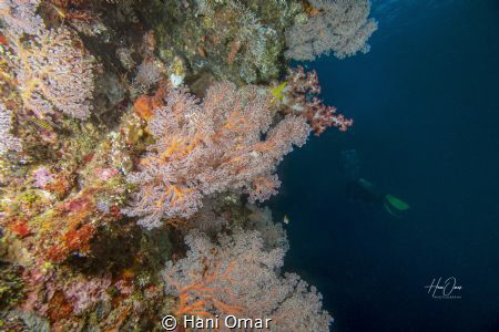 Follow Your Passion. This photo was taken on the USS Libe... by Hani Omar 