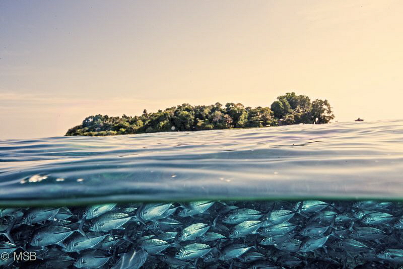 Sipadan island. by Mehmet Salih Bilal 