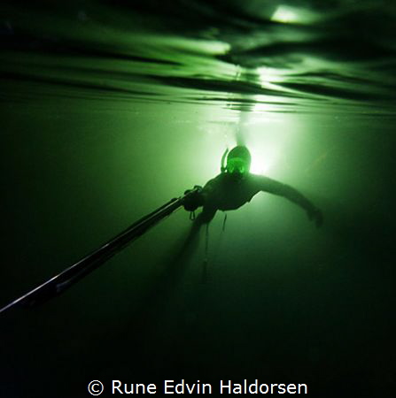 From the light by Rune Edvin Haldorsen 