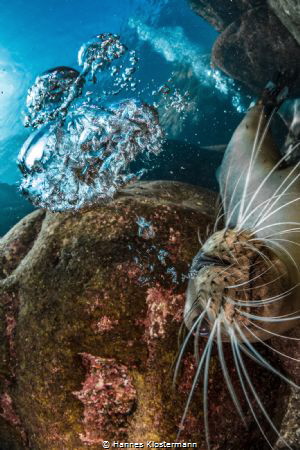 I can blow bubbles, too! by Hannes Klostermann 