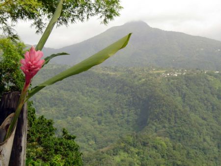 Dominica mountains by Kelly N. Saunders 