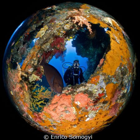 Round World Underwater by Enrico Somogyi 
