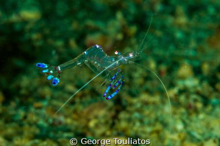 Floating!!! by George Touliatos 