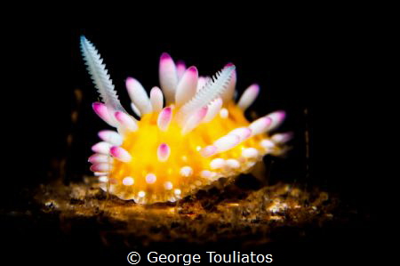 Nudie in the Spot!!! by George Touliatos 