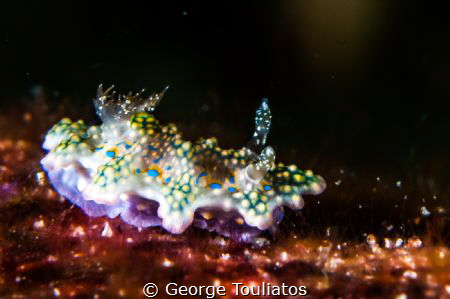 Dotted Nudie!!! by George Touliatos 