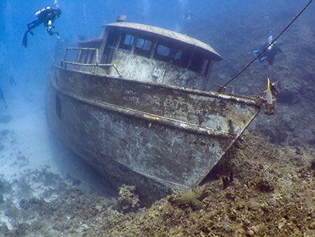 The Mr. Bud. Roatan, Bay Islands. Fuji F810, Inon WAL, am... by Jennifer Temple 