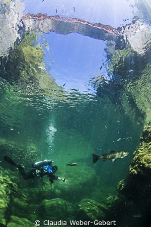 under the bridge........... 
Austria Traun river near th... by Claudia Weber-Gebert 