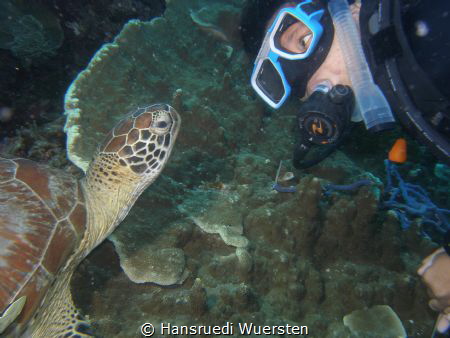 I like you! by Hansruedi Wuersten 