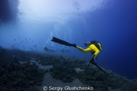Yellow suit ... by Sergiy Glushchenko 
