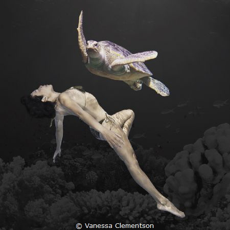 synchronised swimming by Vanessa Clementson 