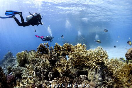 Red Sea by Sergiy Glushchenko 