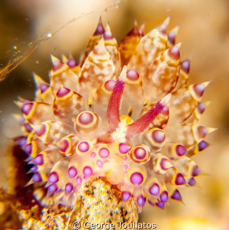 Psychedelic Nudie!!! by George Touliatos 