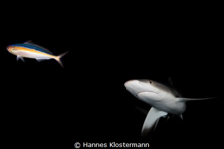 The End?... by Hannes Klostermann 