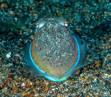 Bluish butt shot!!! by George Touliatos 