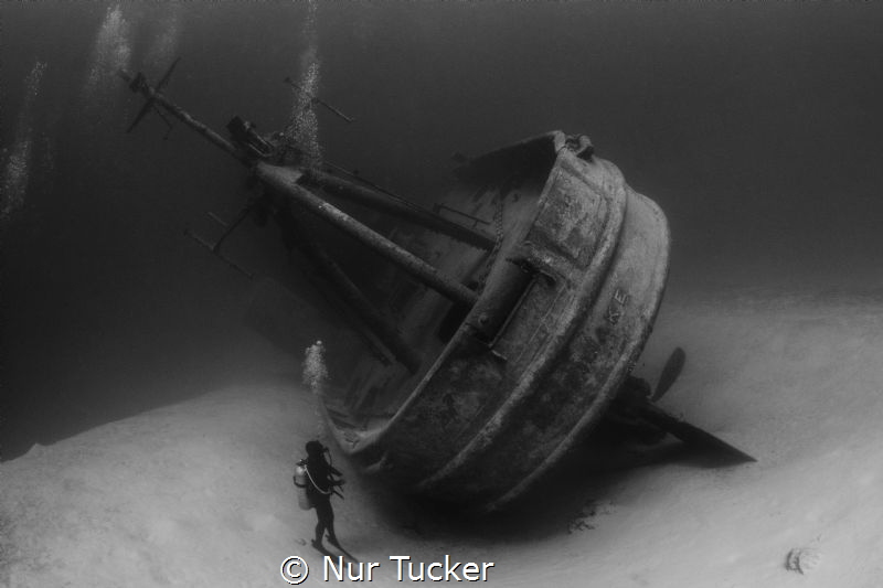A diver and Kittiwake Wreck by Nur Tucker 