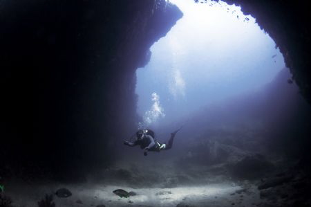 The entrance of Cathedral. Aliwal Shoal by Marco Calvani 