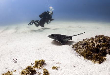Crossing a ray by Marco Calvani 
