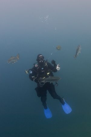 Mark surrounded by trout.Capernwray.
D200,10.5mm. by Derek Haslam 