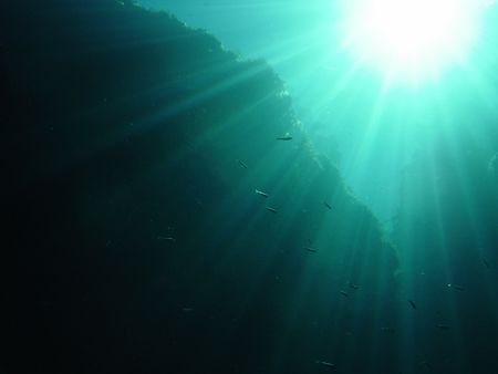 Blue hole gozo by David Thompson 