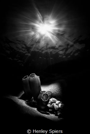 Black & White Reef Scene (in-camera double exposure) by Henley Spiers 