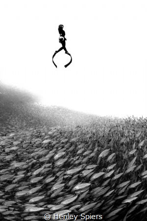 Freediving Photographer by Henley Spiers 