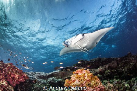 Winter light and clear water in Okinawa by Andrew Delano 