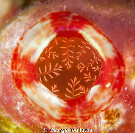 Abstract!!! by George Touliatos 