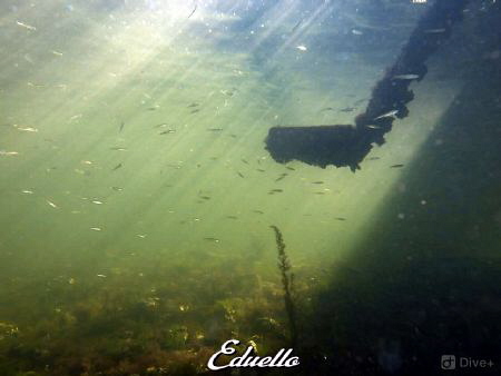 Nice start place for a dive by Eduard Bello 