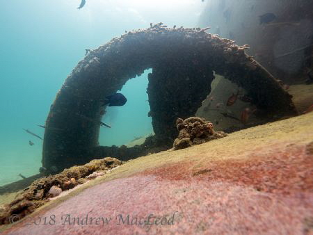 The prop of a wreck
 by Andrew Macleod 