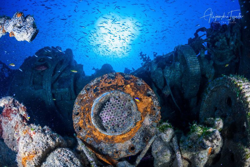 1HSS28 with the Sun, Isla Magdalena Mexico by Alejandro Topete 