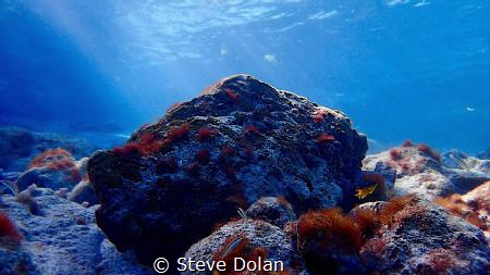 “Serene Scene” clear water, bright sunshine, and tranquil... by Steve Dolan 
