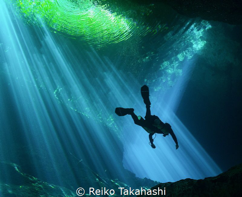 I dived for the first time in Cenote. Although I had divi... by Reiko Takahashi 