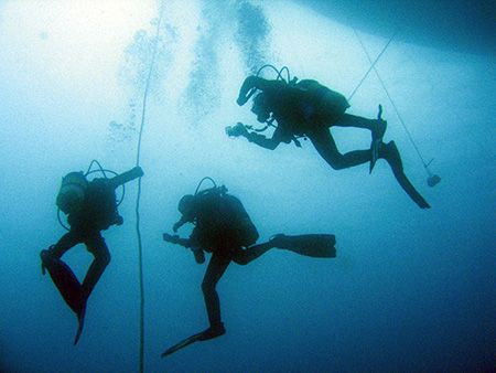 The Deco Stop [5mt/3min]
Capo Mortola - Italy
Canon Dig... by Riccardo Colaiori 