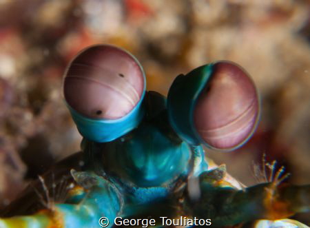 Into my eyes!!! by George Touliatos 