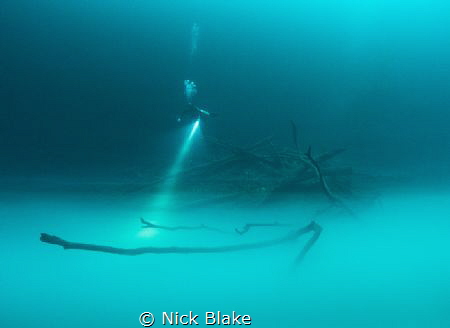 Angelita & Diver
Nikon D810, Nikonos RS 13mm by Nick Blake 