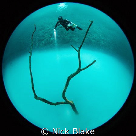 Angelita
Nikon D810, circular fisheye by Nick Blake 