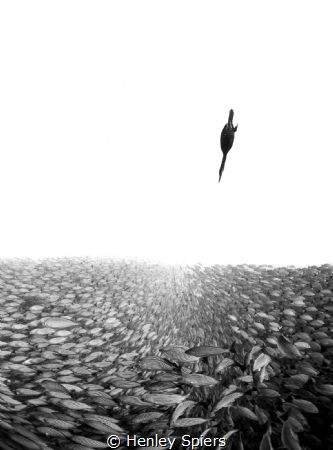 Between Two Worlds by Henley Spiers 